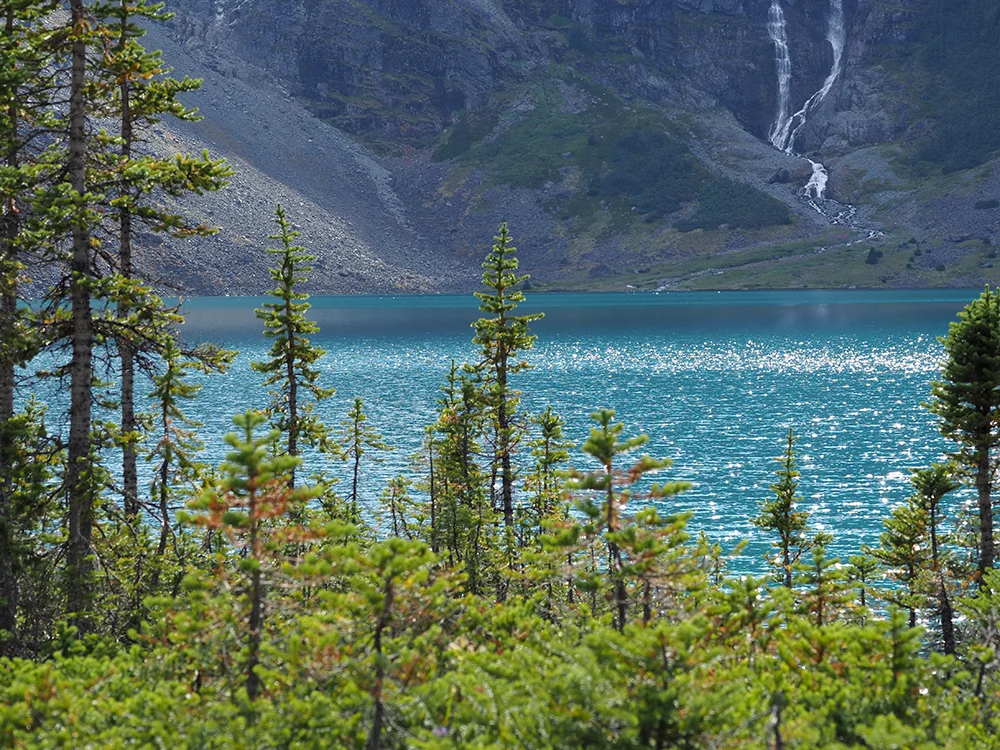 ADVENTURE TOURS IN BC
