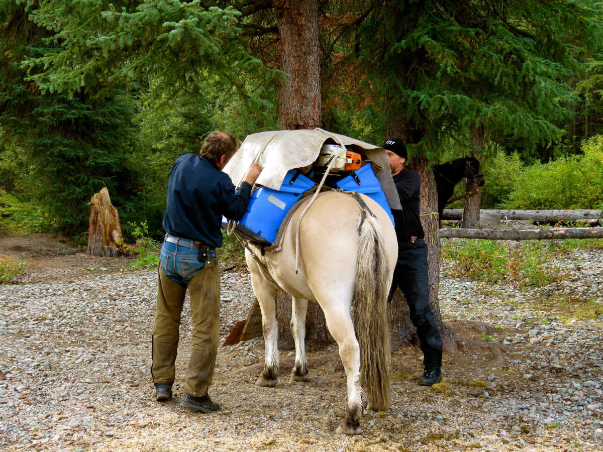 ADVENTURE TOURS IN BC